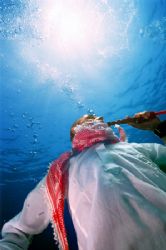 Beduwin and his Waterpipe

nikonos V 15mm by Addie Reiss 